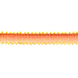 Orange 7mm, 100% polyester Mokuba picot edge ombre ribbon.